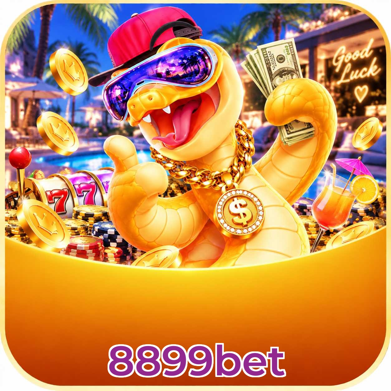 8899bet App vs Web
